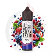 Steam Train Forest Berry 20/60ml Flavour Shots